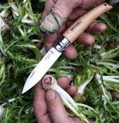 Couteau de Jardin N°08 - Le Pointu